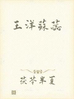 王洋苏蕊
