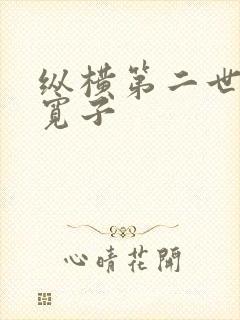 纵横第二世界 宽子