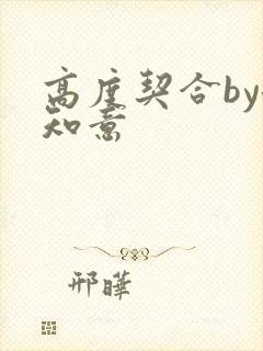 高度契合by洛知意封面