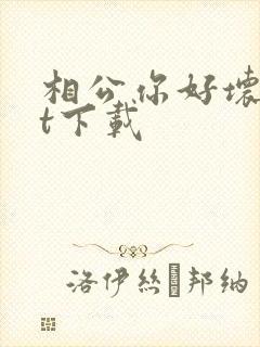 相公你好坏txt下载封面