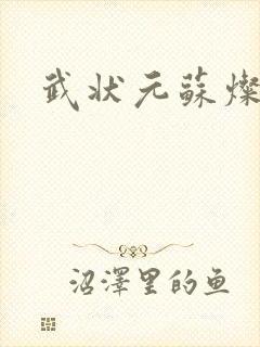 武状元苏灿