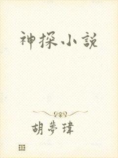 神探小说