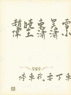 赵晓东吴雪晴郑伟王潇潇小说名字封面