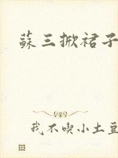 苏三掀裙子封面