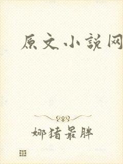原文小说网
