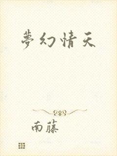 梦幻情天封面