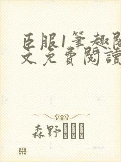 臣服1笔趣阁全文免费阅读无弹窗