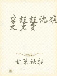 容枝枝沈砚书全文免费