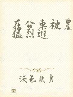 在公车被农民工猛烈进封面