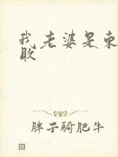 我老婆是东方不败