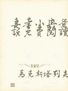 妻孝小冉爸爸小说免费阅读封面