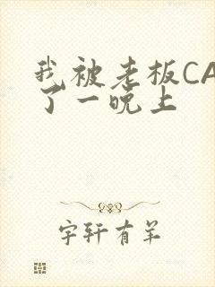 我被老板CAO了一晚上