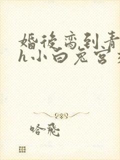婚后脔到青梅哭h小白兔宫交h