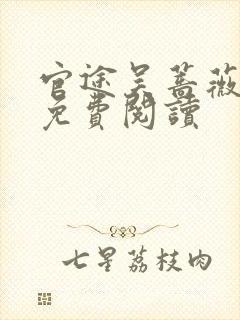 官途吴蔷薇全文免费阅读
