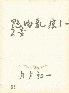 艳肉乱痕1一12章封面