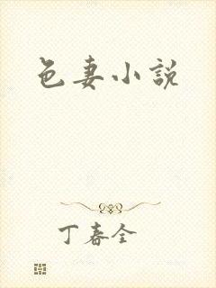 色妻小说封面