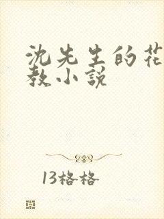 沈先生的花式调教小说