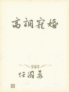 高调宠婚