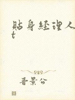 贴身经理人txt封面