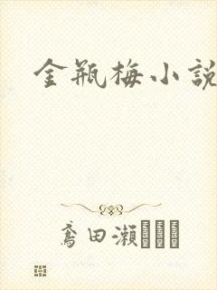 金瓶梅小说