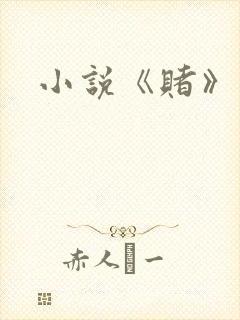 小说《赌》封面