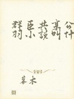 群臣共享公主银羽小说叫什么
