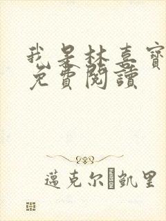 我是林喜宝小说免费阅读