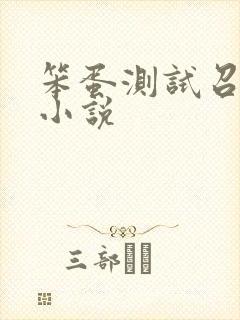 笨蛋测试召唤兽小说