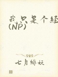 我只是个经纪人(NP)