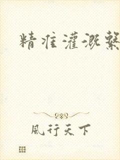 精准灌溉系统