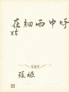 在细雨中呼喊txt