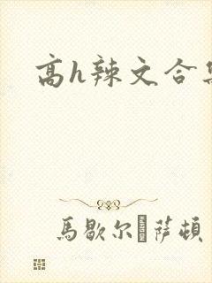 高h辣文合集