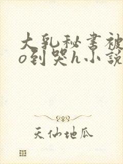大乳秘书被cao到哭h小说