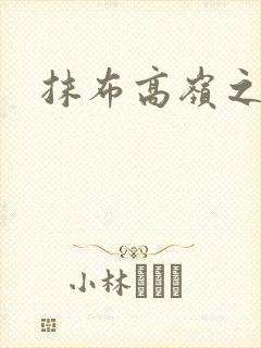 抹布高岭之花封面