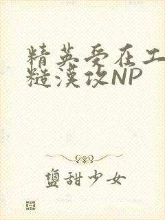 精英受在工地被糙汉攻NP封面