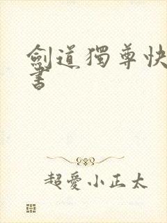 剑道独尊快眼看书封面