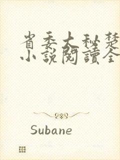 省委大秘楚东恒小说阅读全文封面