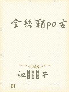 金丝鞘po古言