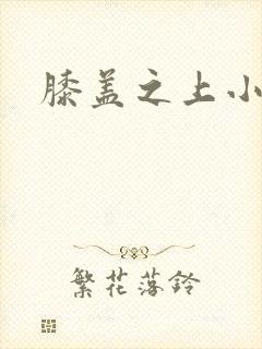 膝盖之上小说