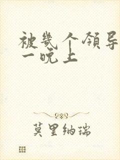 被几个领导玩弄一晚上