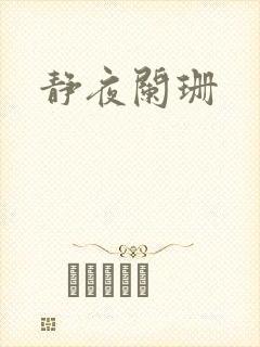 静夜阑珊