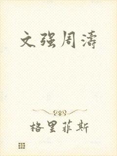 文强周涛