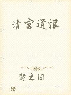清宫遗恨封面