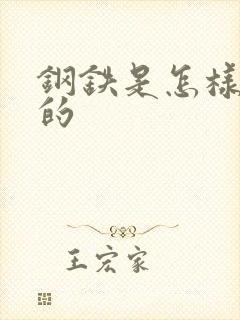 钢铁是怎样练成的封面