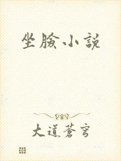 坐脸小说