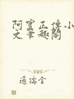 阿宾正传小说全文笔趣阁封面
