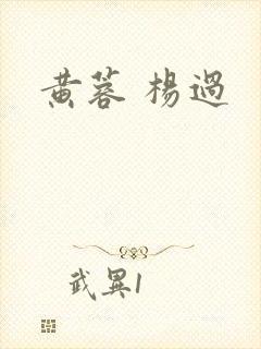 黄蓉 杨过