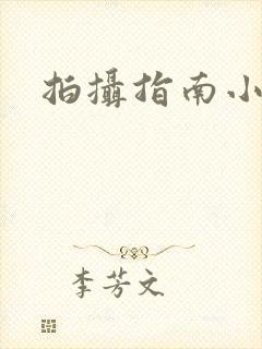 拍摄指南小说