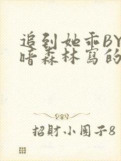 追到她乖BY黑暗森林写的小说