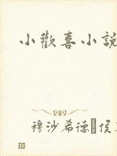 小欢喜小说